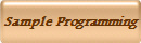 Sample Programming